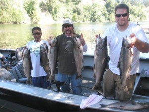 salmon fishing in Sacramento, American river
