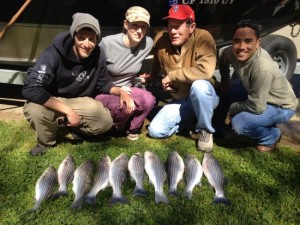 Fishing Guide Bob Sparre puts clients on stripers