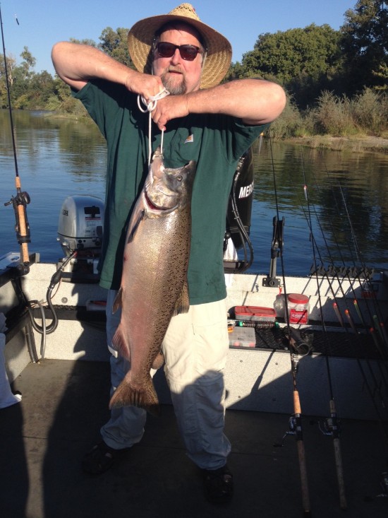 Another whopper Salmon