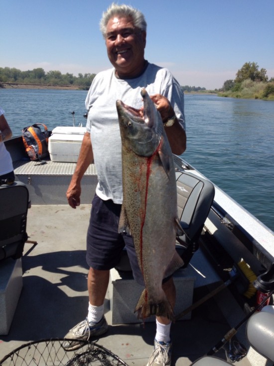 Big Salmon in Sacramento with Bob Sparre Fishing guide