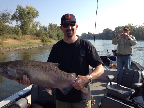 Salmon in Sacramento