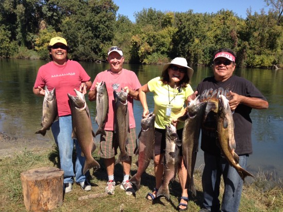 Salmon Catch Sacramento Salmon Limits for everyone