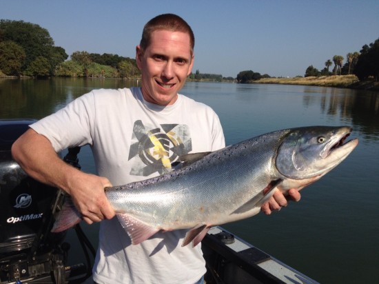 Another Great Salmon Catch