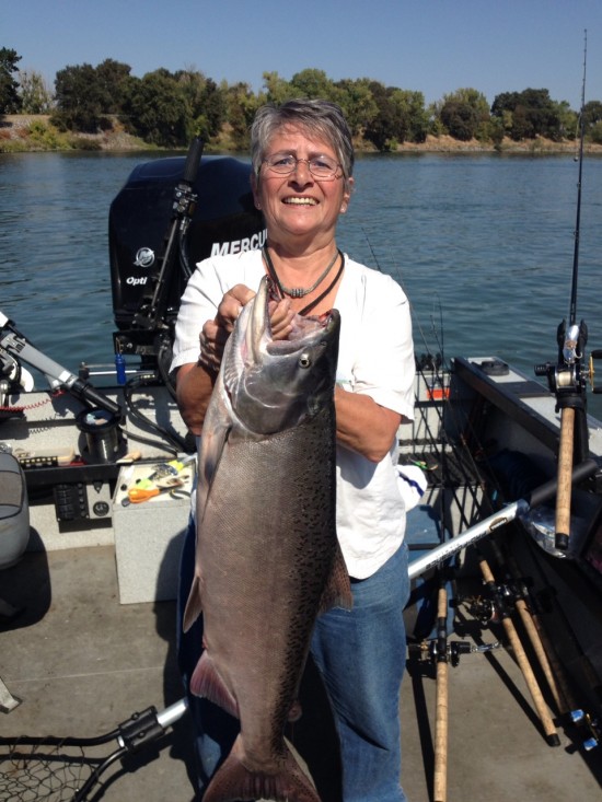 Massive Salmon Catch on the Sacramento River