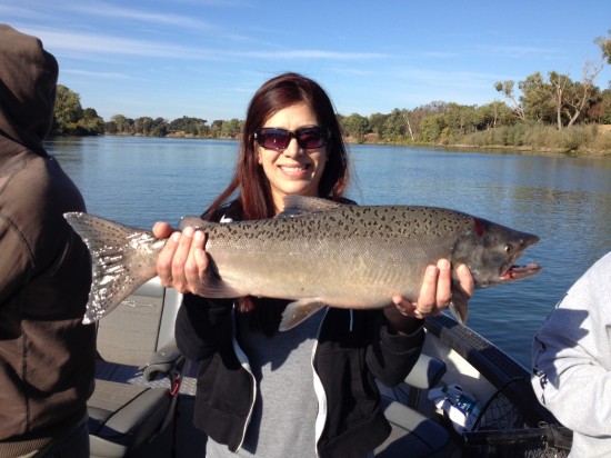 Great Salmon Catch in Sacramenot