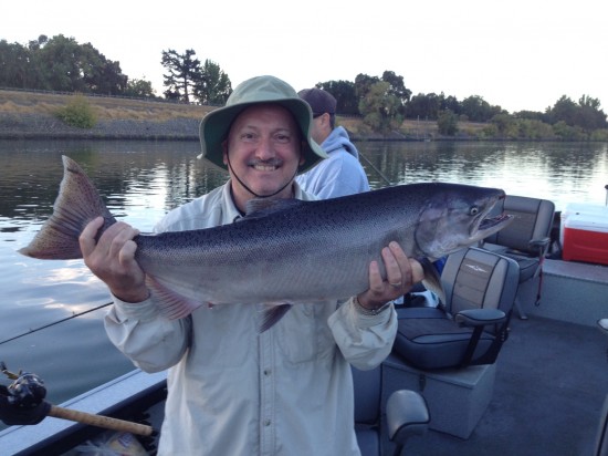 Salmon on the Sacramento River