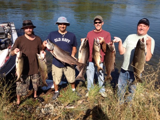 Salmon Salmon Salmon