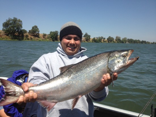 Silver Salmon