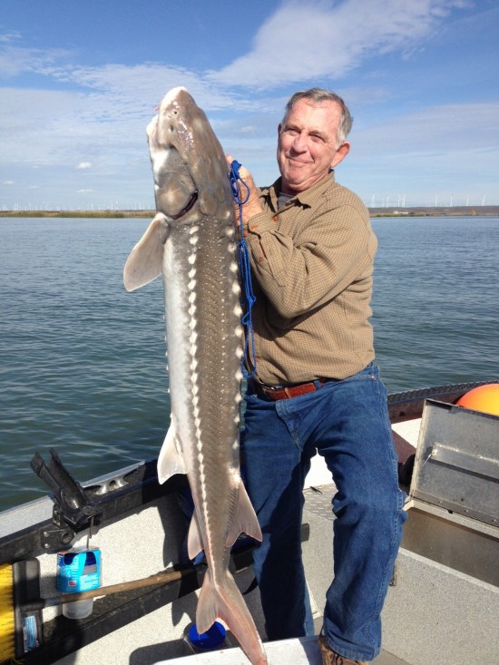 Sturgeon Fishing Guide