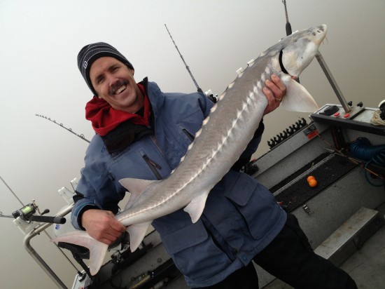 St gain of almost 5,00