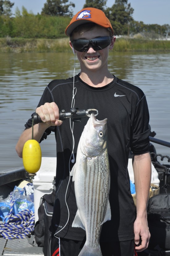 Striper catch