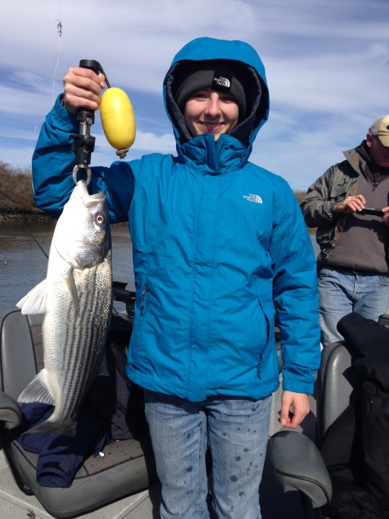 Striper Fishing Sacramneto