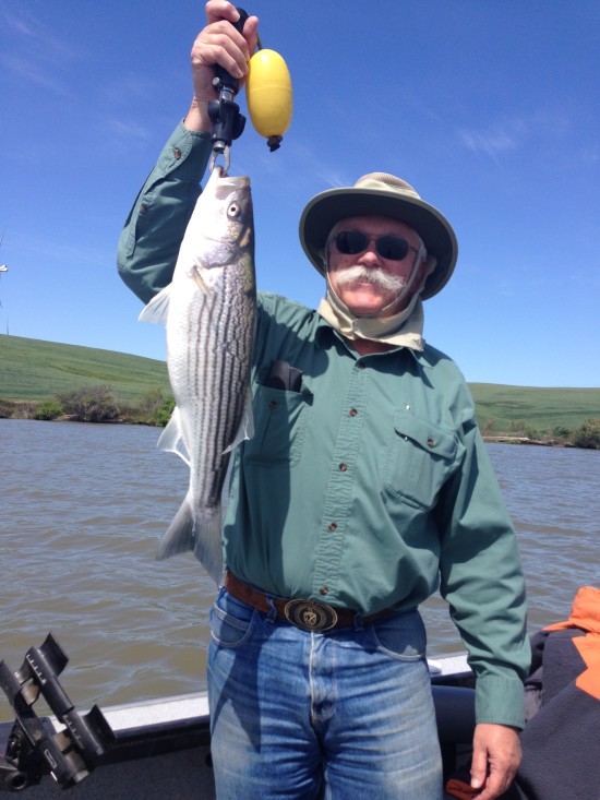 Striperfishing411b