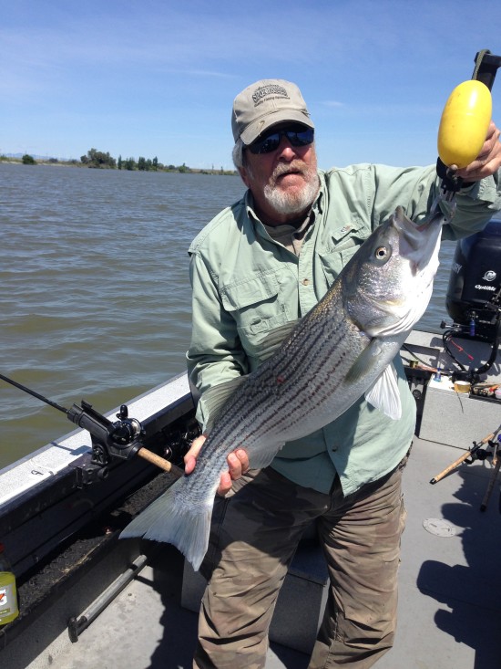 Striperfishingsac428a