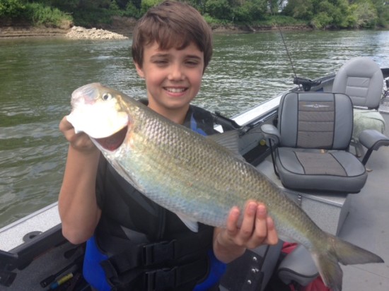 Shad_Fishing