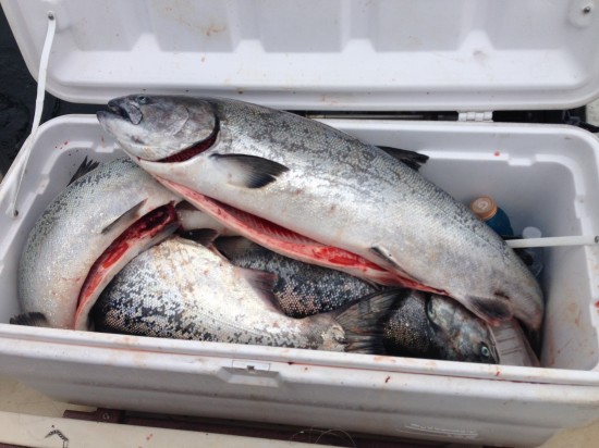 Salmon Fishing Northern CA2