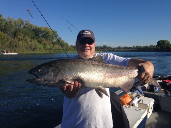 Salmon Fishing Sacramento 826