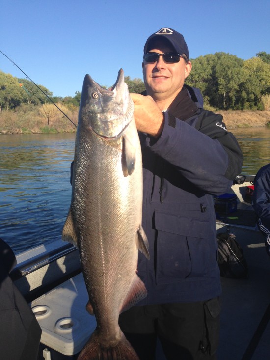 Salmon fishing Guide Sacramento826