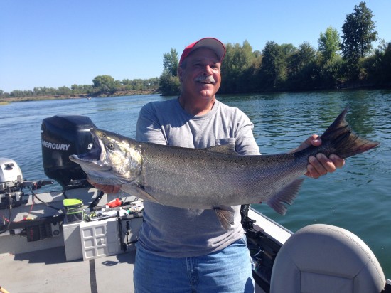 Salmon fishing with bob sparre