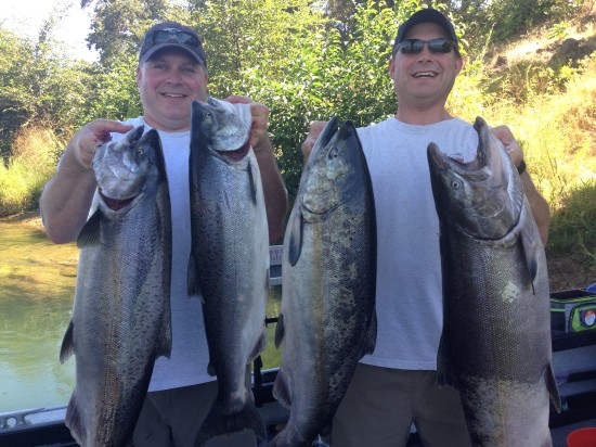 Salmon limits 826 1