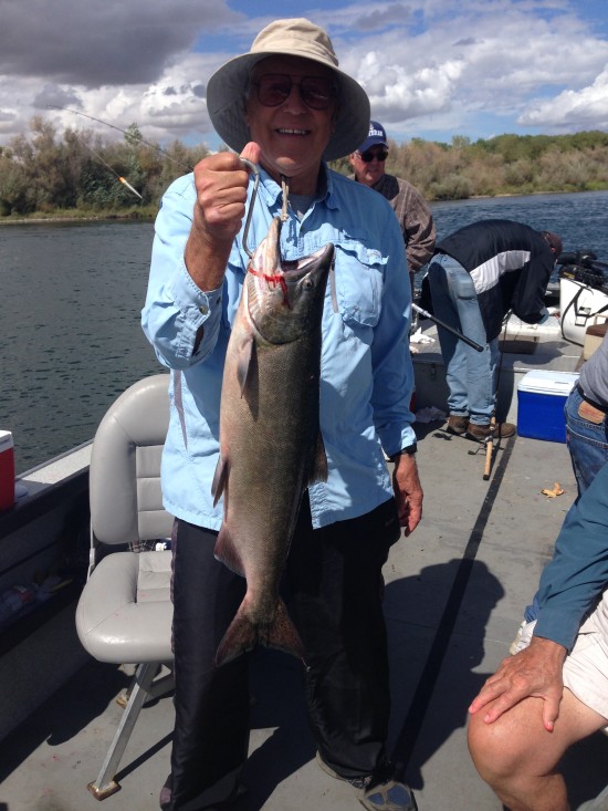SacramentoRiverSalmon1 (3)