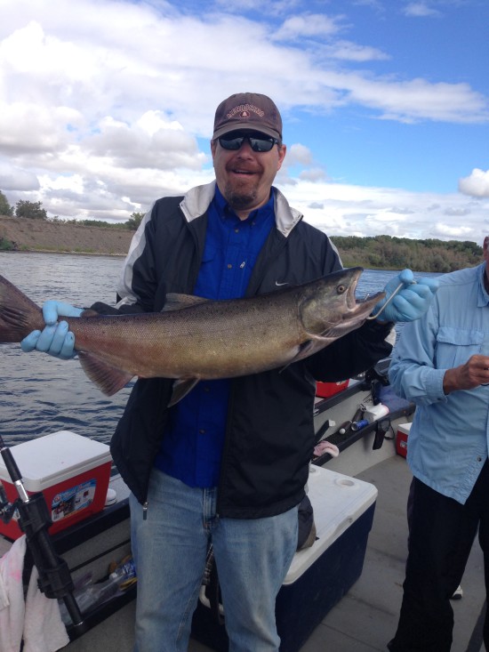 SacramentoRiverSalmon1 (4)