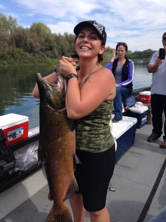 Sacramento Monstor Salmon