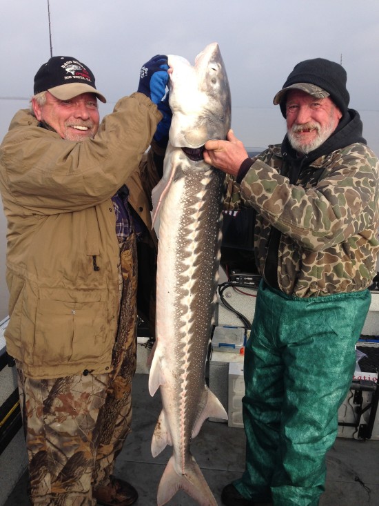 Sturgeon Catch