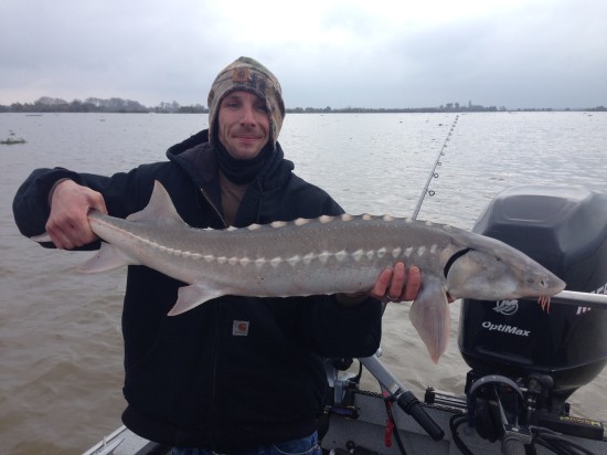Sturgeon Fishing