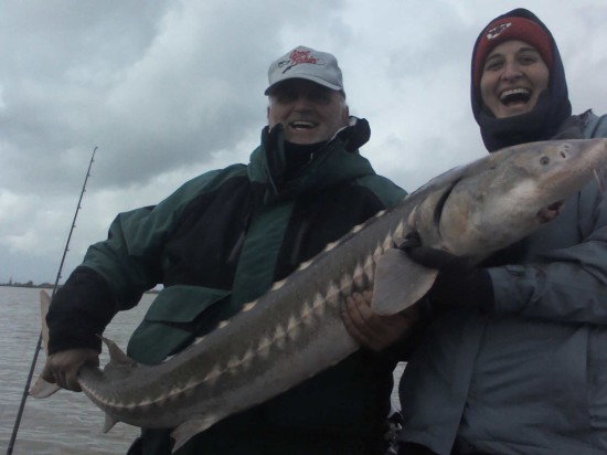 Big Sturgeon Catch in Sacramento