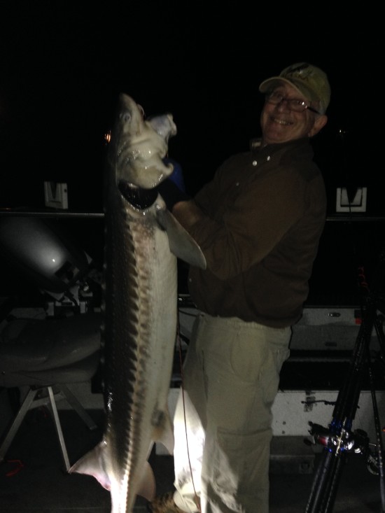 Night Fishing Sturgeon