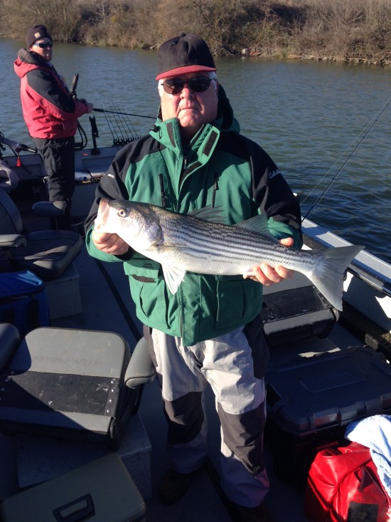 Striper Fishign Sacramento River