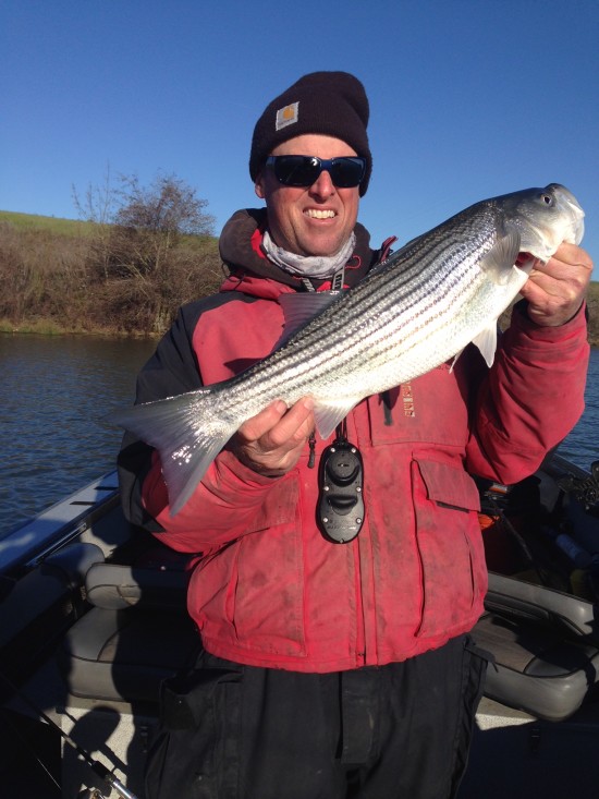Striper Fishing Sacramento2