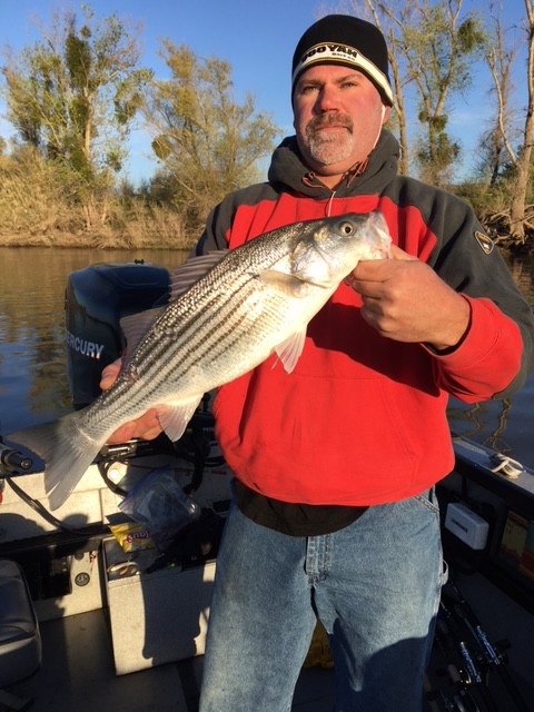 Striperfishing3-e1459356727247