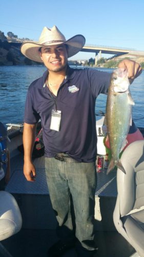 Shad Fishing Sacramento