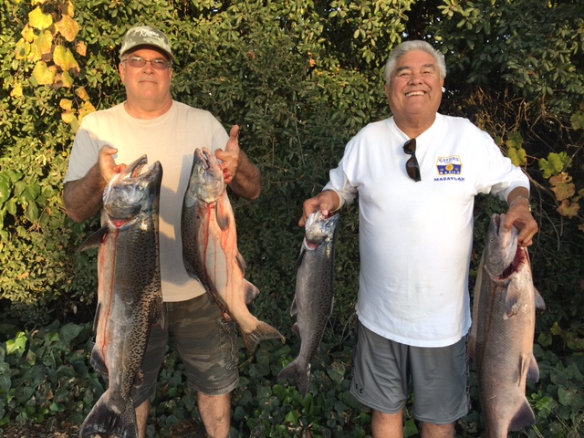 Salmon Fishing Sacramento
