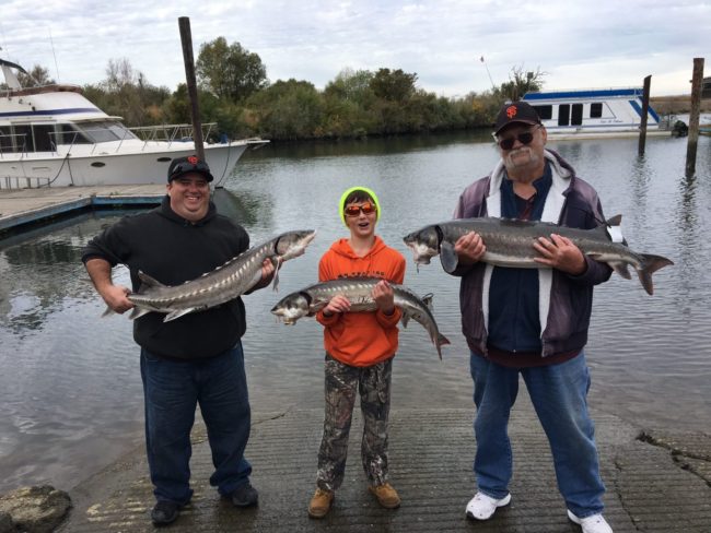 stergeon-fishing-fun-things-to-do-sacramento