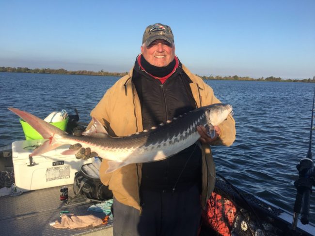 Lunker Sturgeon