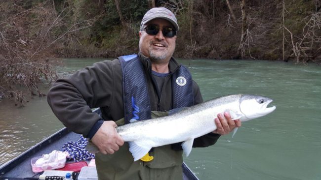 Steelhead Catch