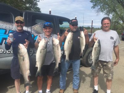 Bass Fishing Northern CA