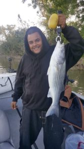 Striper Sacramento