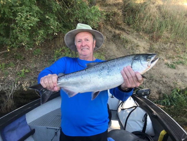 Salmon Sacramento 2017