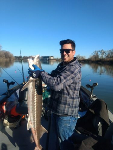 Sturgeon Fishing