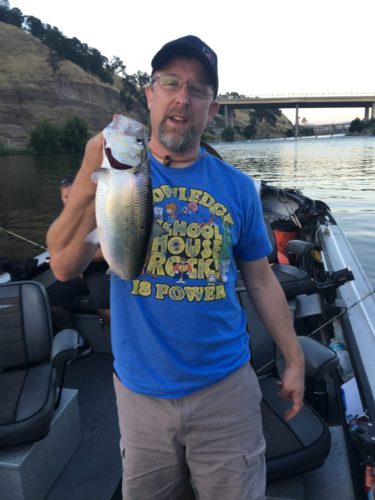 Shad Fishing Sacramento
