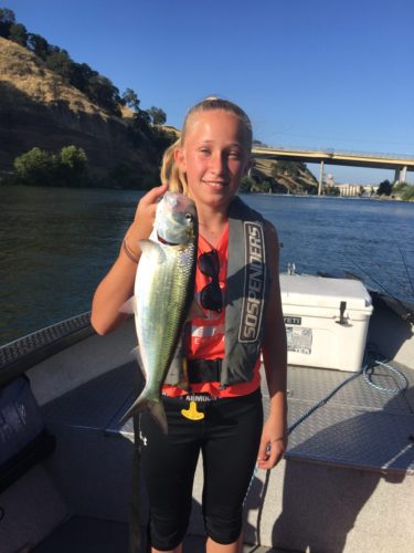 Shad Sacramento