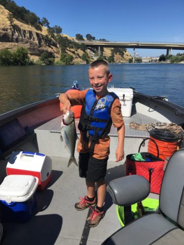 Shad Fishing in Sac