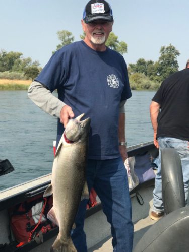 Salmon Sacramento 2018