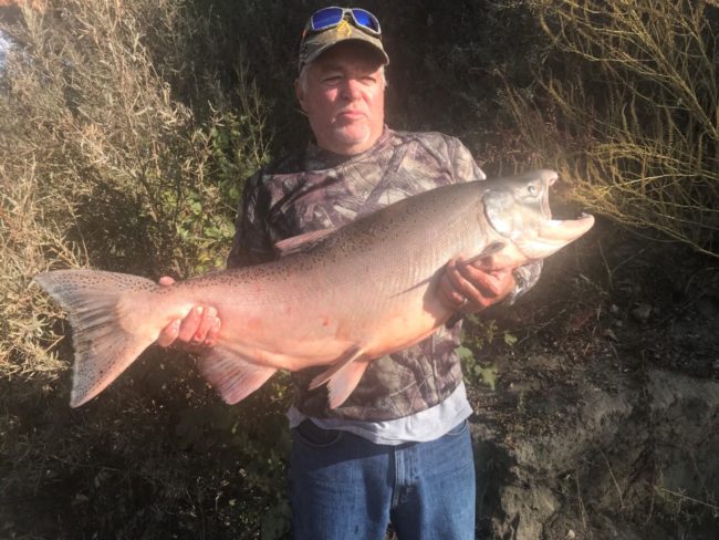 Sacramento Fishing Guide