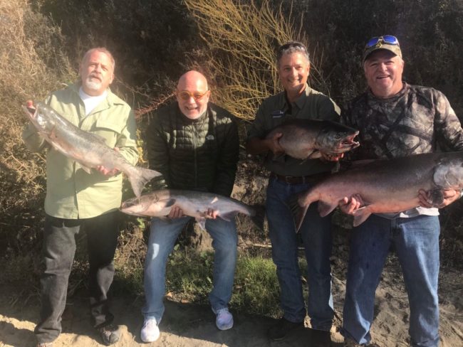Sacramento Salmon Report October 2018
