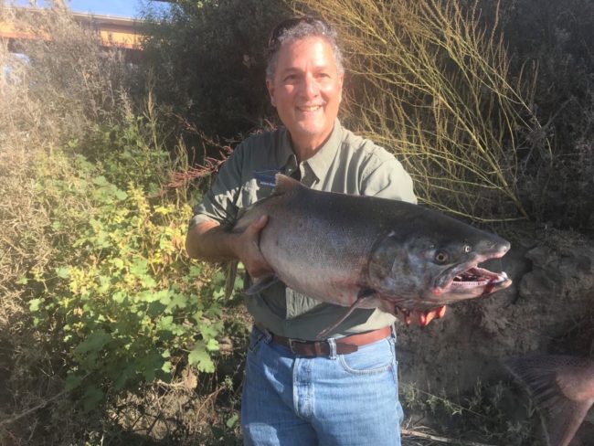 Big Salmon Sacramenot